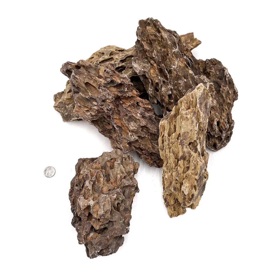 Rock and Substrate