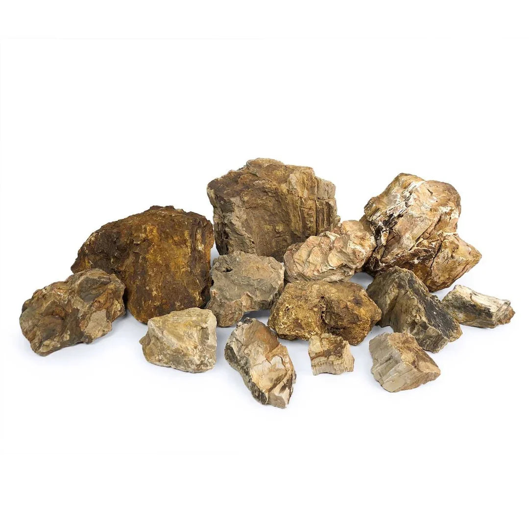 SR Aquaristik Petrified Wood Stone per lb
